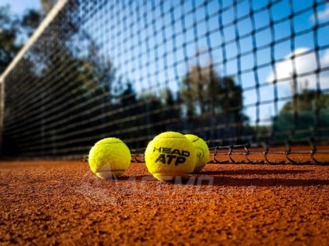 
 Court shoes designed for tennis and racquetball might look like other sneakers, but they feature invisible support