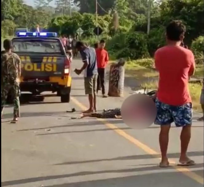 
 Terlibat Laka Lantas, Seorang IRT Meregang Nyawa di TKP