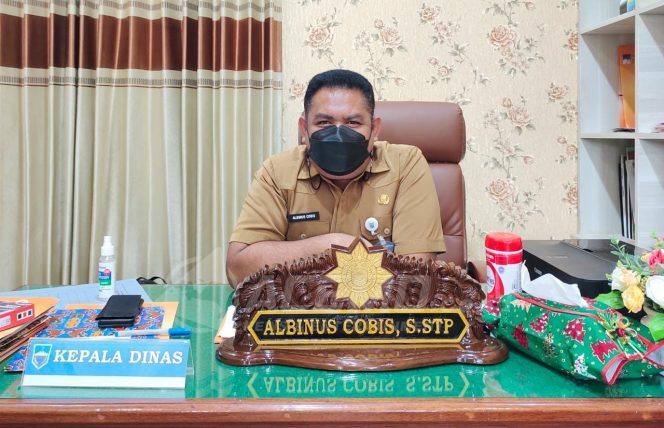 
 Sepanjang Tahun 2021, DPMPTSP Manokwari Keluarkan Lebih Dari 2000 Perijinan