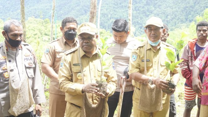 
 Bupati Manokwari Ingin Jadikan Mokwam Sebagai Daerah Penghasil Kopi