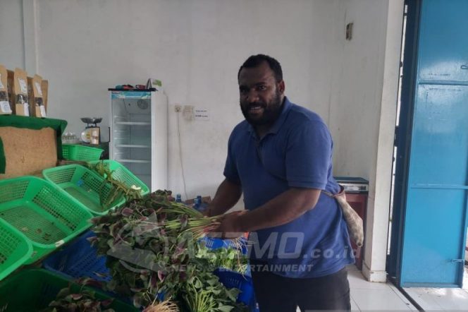 
 Simon Tabuni Wirausaha Muda Papua Lulusan Inggris yang Tolak Jadi PNS