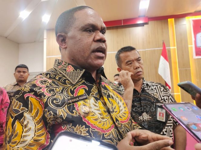 
 Pemda Manokwari Siapkan 80’an Ekor Hewan Qurban Untuk Disalurkan ke Masjid dan Mushola.