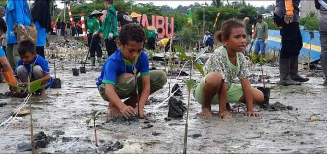 
 Peringati Hari Mangrove Forum Kompak Papua Barat Ajak Kolaborasi Penanaman Mangrove
