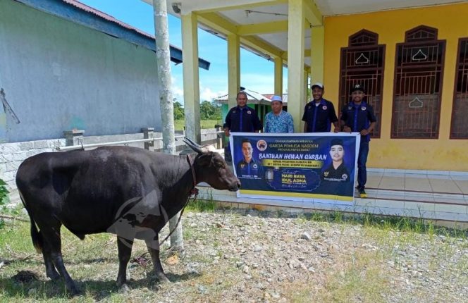 
 Garda Pemuda Nasdem Manokwari Sumbang Hewan Kurban di Pesantren Darultolibin