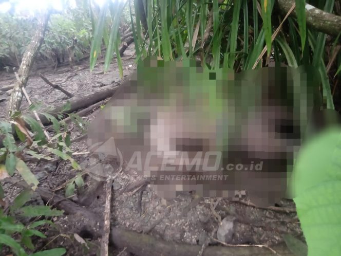
 Sesosok Mayat Pria Tanpa Identitas Ditemukan Di Pantai Cokran Sowi