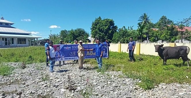
 Ketua DPC Partai Demokrat Kab. Manokwari Mondry Wattimena Saat Menyerahkan Bantuan Sapi Qurban Dari Ketua DPD Partai Demokrat Papua Barat