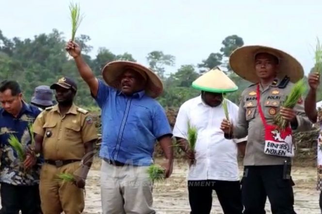 
 Upaya Yahukimo Papua Jadi Sentra Ketahanan Pangan