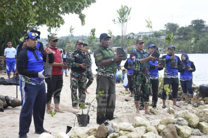 
 Kodam XVIII/Kasuari Gandeng SMA Taruna Kasuari Nusantara Tanam Mangrove di Pulau Raimuti
