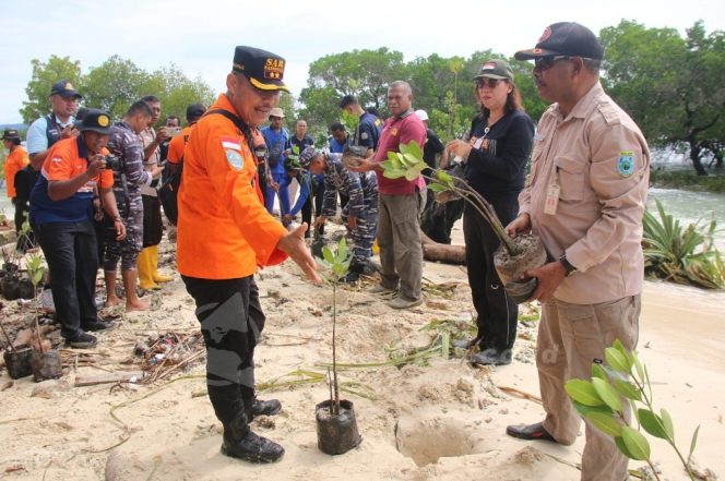 
 Sambut HUT KE-51 Basarnas Manokwari Gelar Aksi Tanam Mangrove
