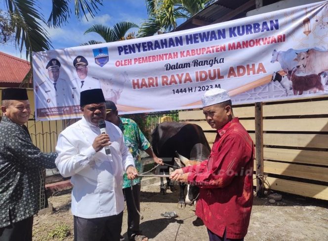 
 Pemkab Manokwari Serahkan 118 Hewan Qurban Untuk Perayaan Idul Adha 1444 H