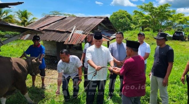 
 Kajati Papua Barat Berbagi Hewan Qurban Dalam Rangka Hari Raya Idul Adha 1444 H