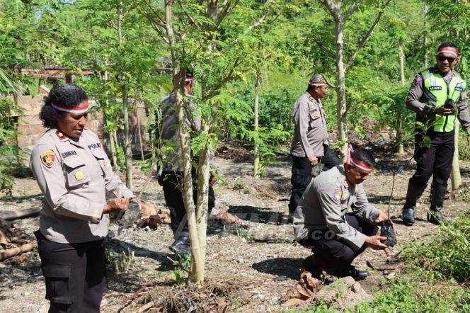 
 Galakkan Penghijauan, Polresta Manokwari Tanam 1.000 Pohon