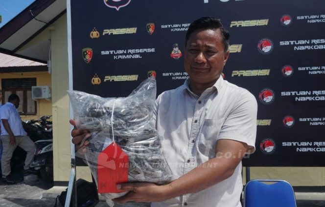 
 Satresnarkoba Manokwari Ringkus 1 Pengedar dan 7 Pelajar Pemakai Ganja