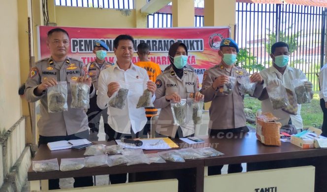 
 Ditres Narkoba Polda Papua Barat Musnahkan 920,973 Gram Ganja dari Tsk ‘CT’