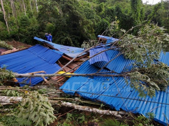 
 Longsor Di Piyedip Minyambouw, 4 Orang Meninggal Dunia dan 6 Rumah Rusak Parah