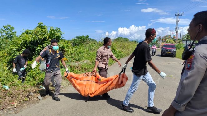 
 Kerangka Mayat Manusia Ditemukan Di Hutan Belakang Kantor Bupati Manokwari