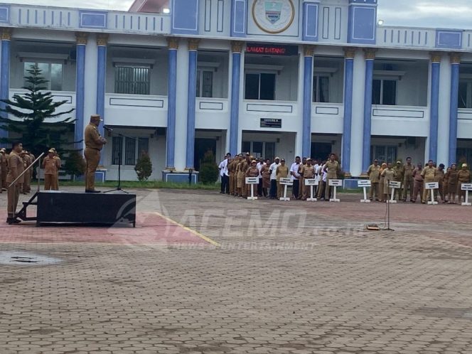 
 2025, Pemkab Manokwari Bentuk Tim Evaluasi Kinerja Honorer
