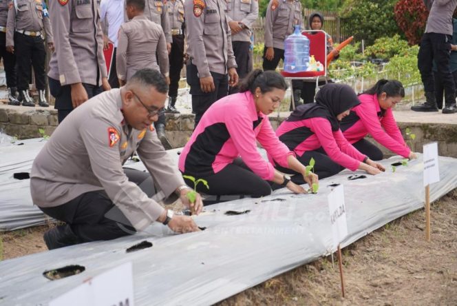 
 Polda Papua Barat Launching Penguatan Program Pekarangan Pangan Lestari (P2L) Dukung Ketahanan Pangan